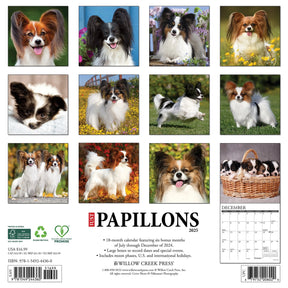 2025 Papillons Calendar