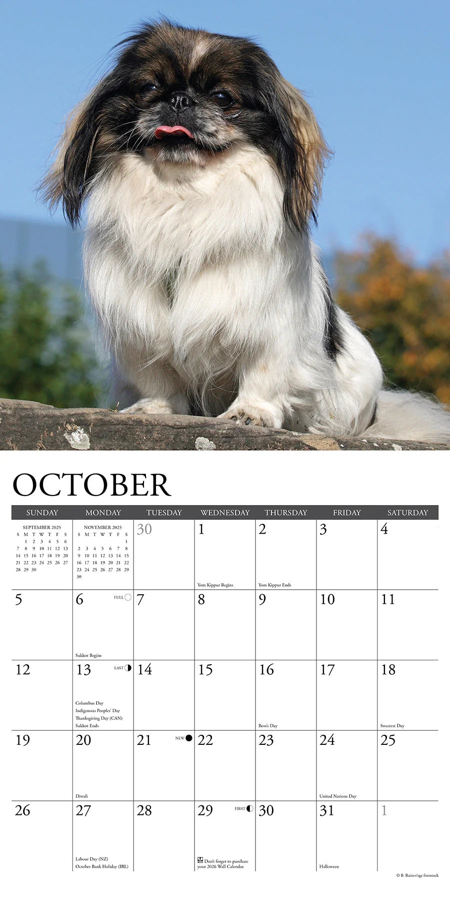 2025 Pekingese Calendar