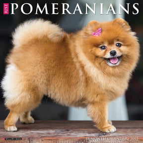 2025 Pomeranians Calendar