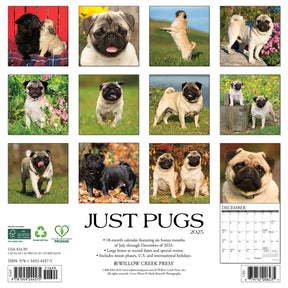 2025 Pugs Calendar