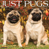 2025 Pugs Calendar