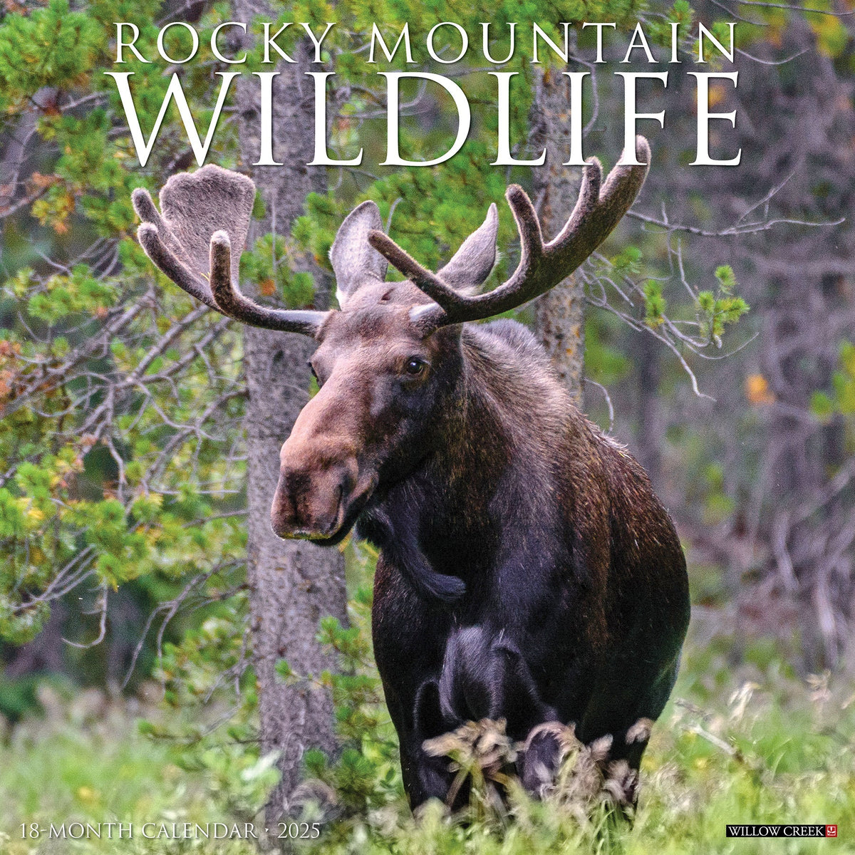 2025 Rocky Mountain Wildlife Calendar