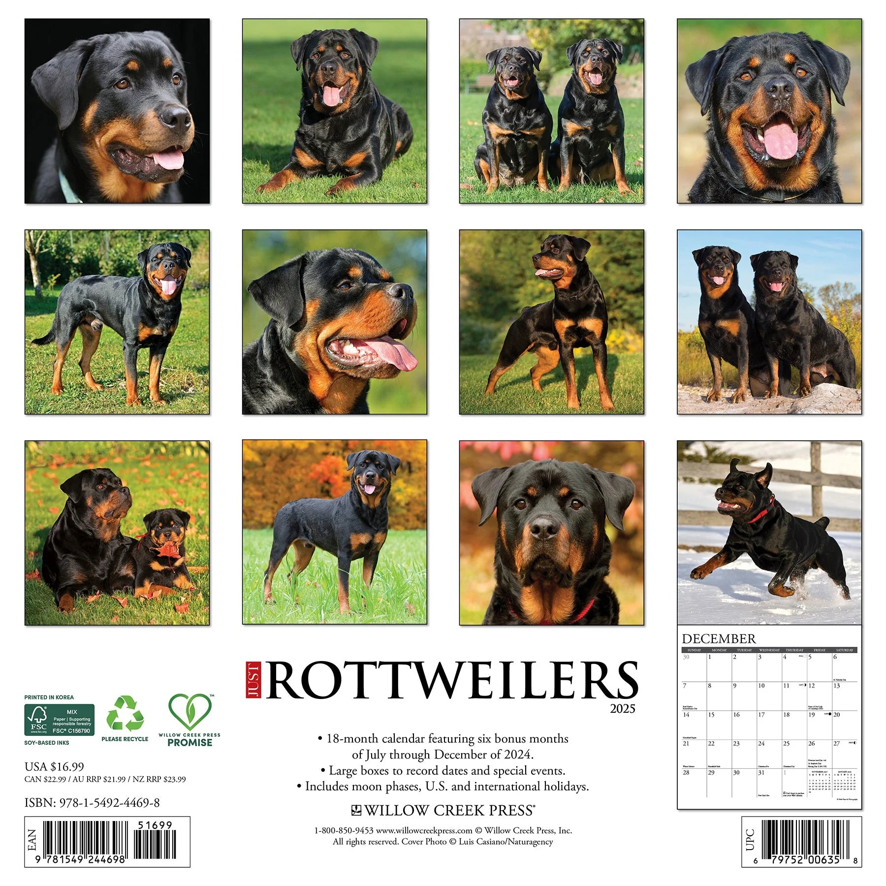 2025 Rottweilers Calendar