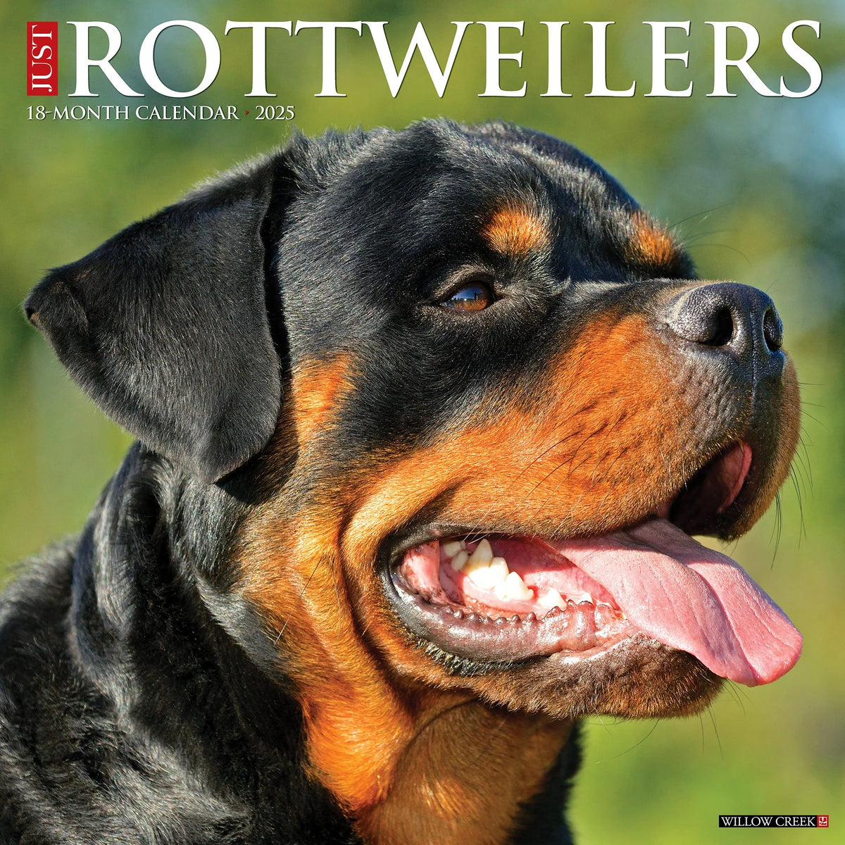 2025 Rottweilers Calendar