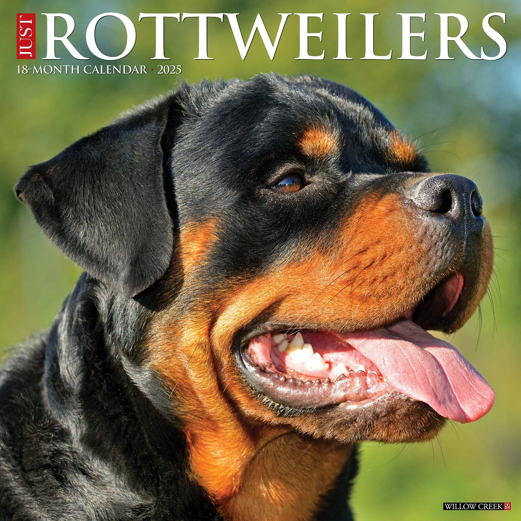 2025 Rottweilers Calendar