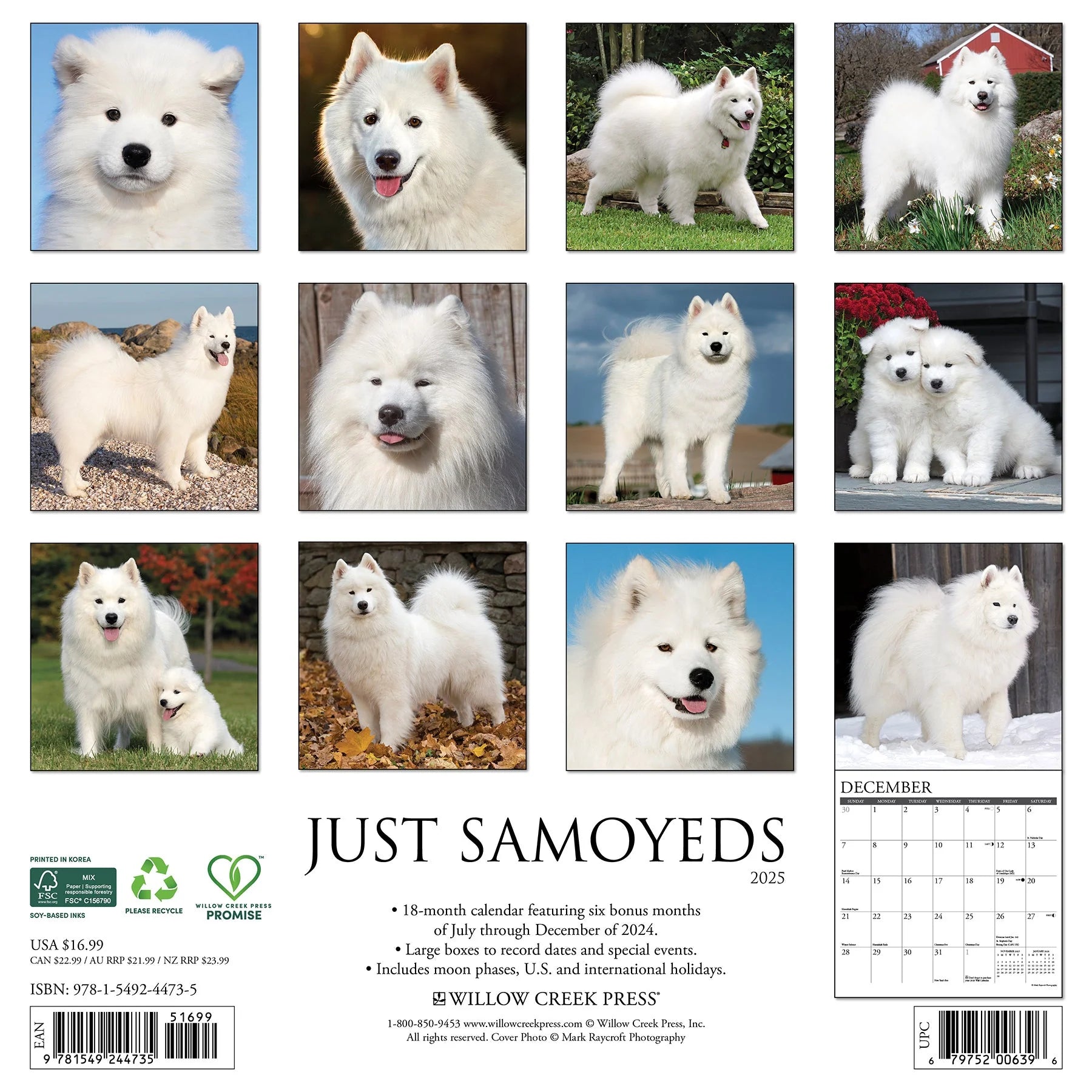 2025 Samoyeds Calendar