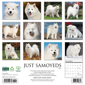 2025 Samoyeds Calendar