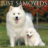 2025 Samoyeds Calendar