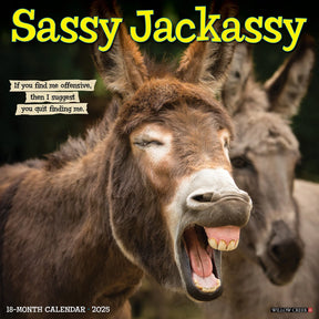 2025 Sassy Jackassy Calendar