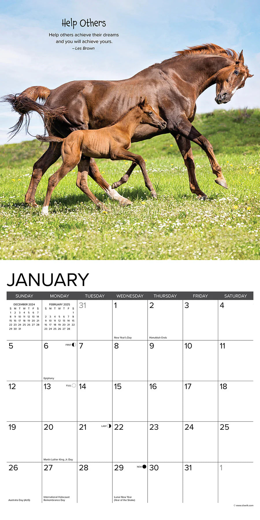 2025 Seize The Hay Calendar