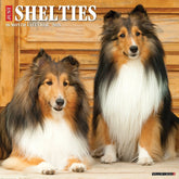 2025 Shelties Calendar