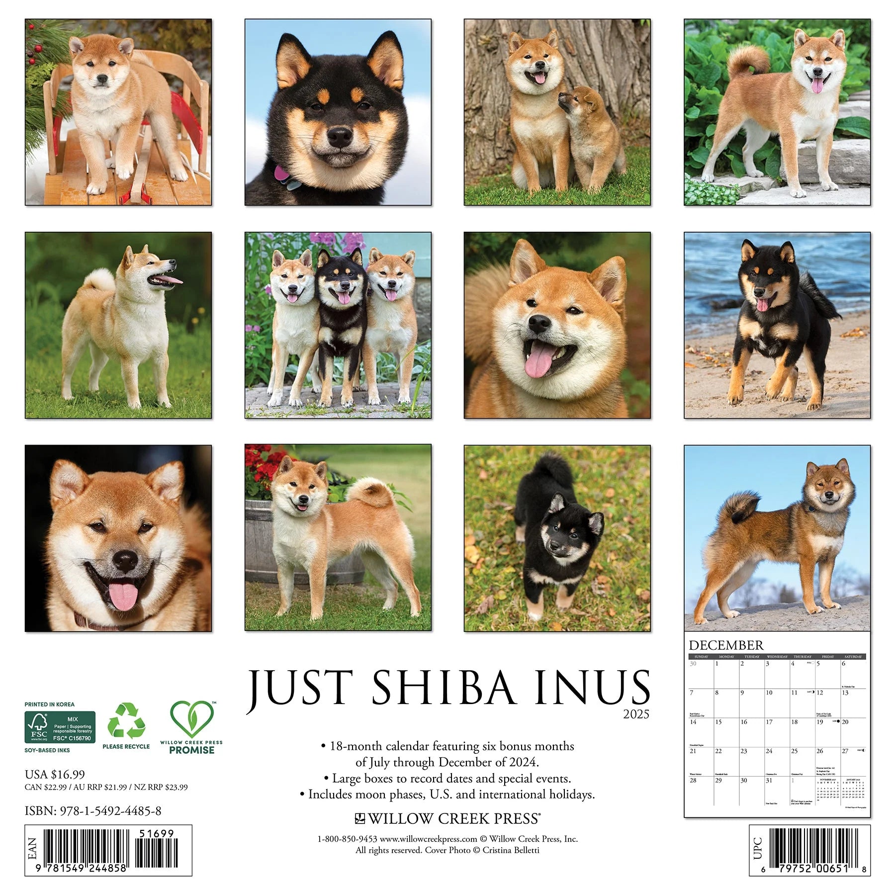 2025 Shiba Inus Calendar