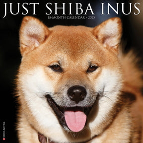 2025 Shiba Inus Calendar