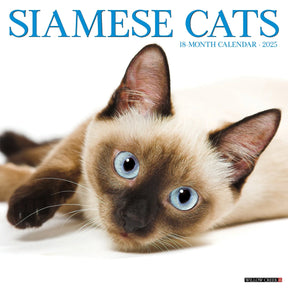 2025 Siamese Cats Calendar