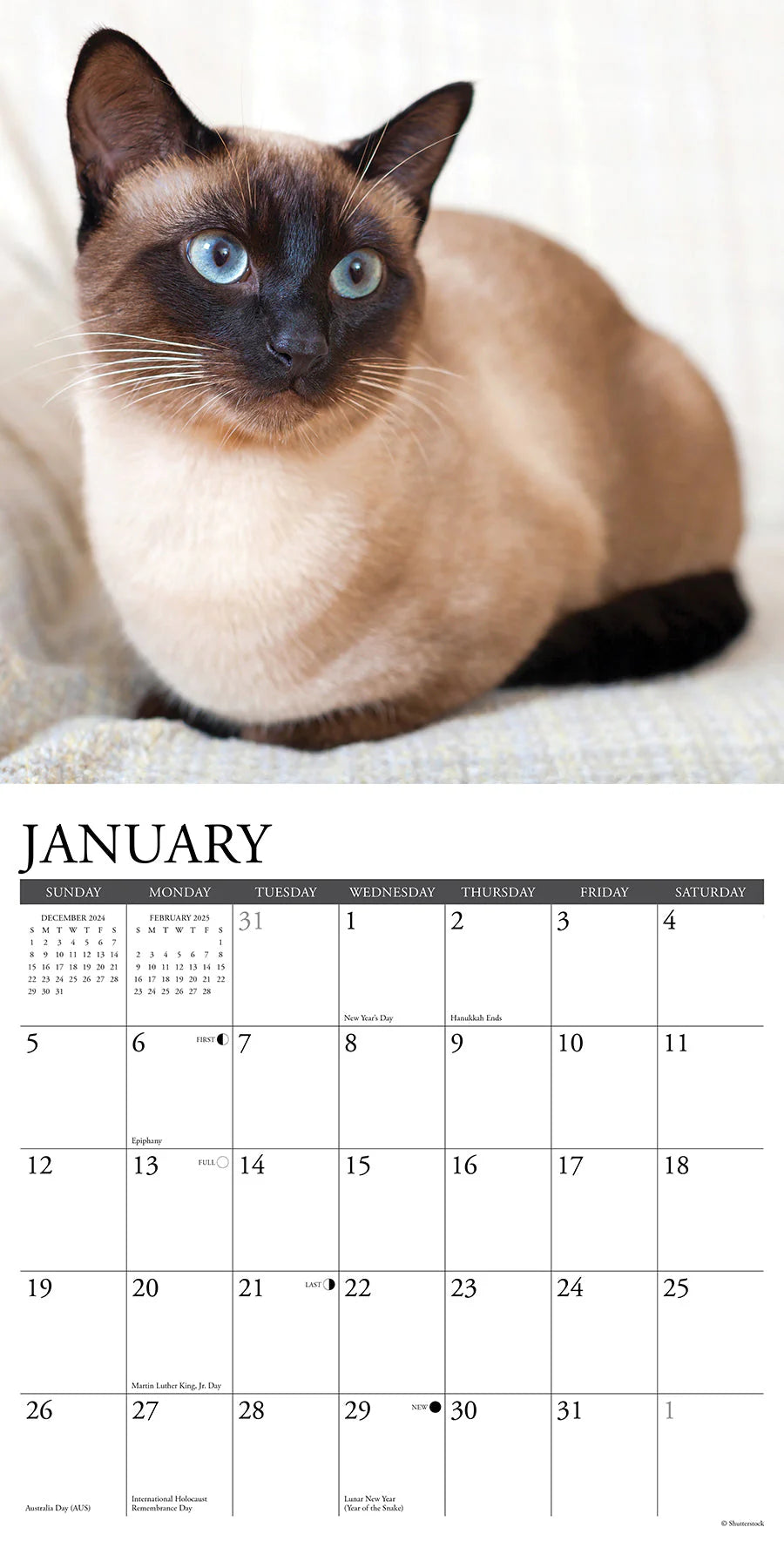 2025 Siamese Cats Calendar