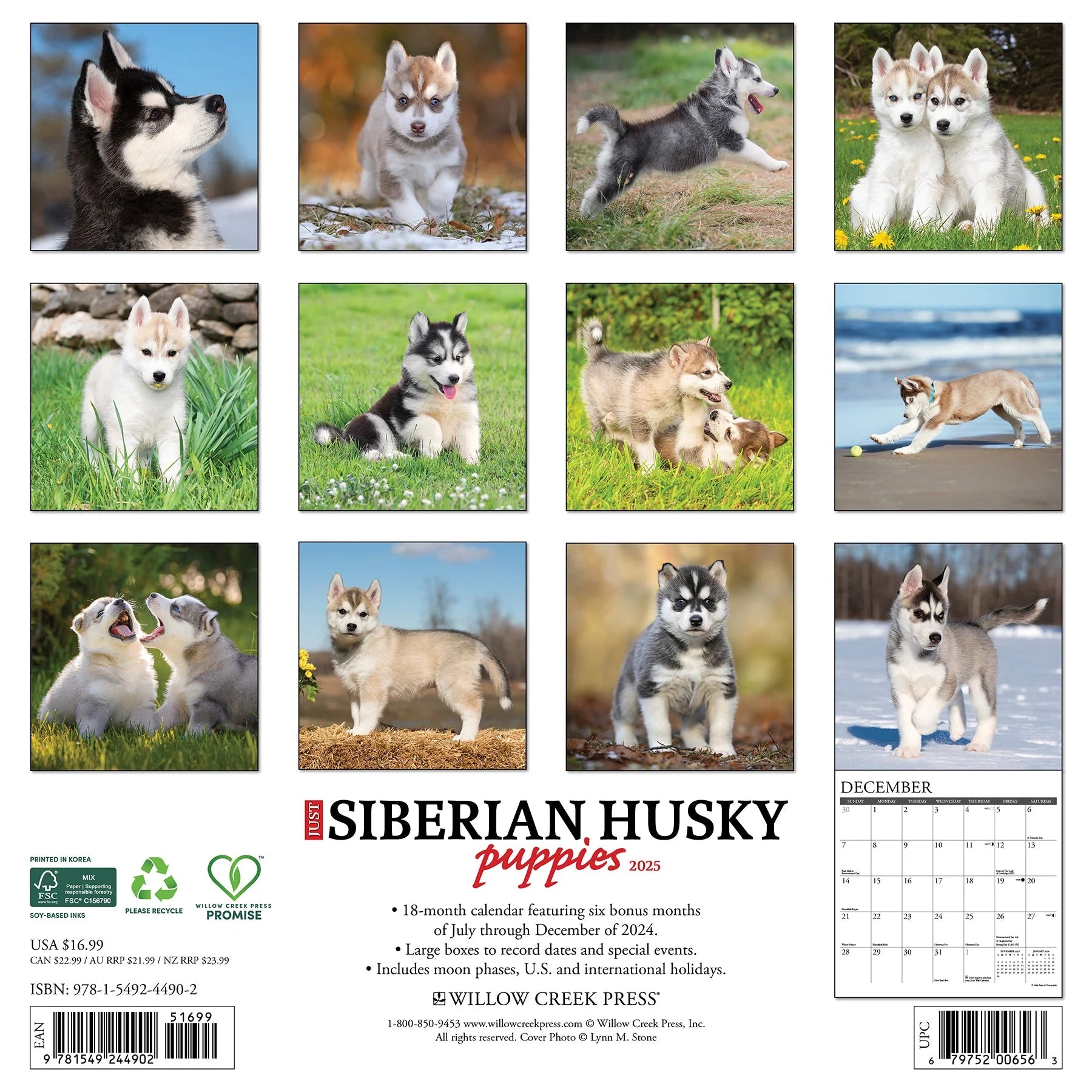 2025 Siberian Husky Puppies Calendar