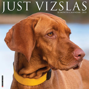 2025 Vizslas Calendar