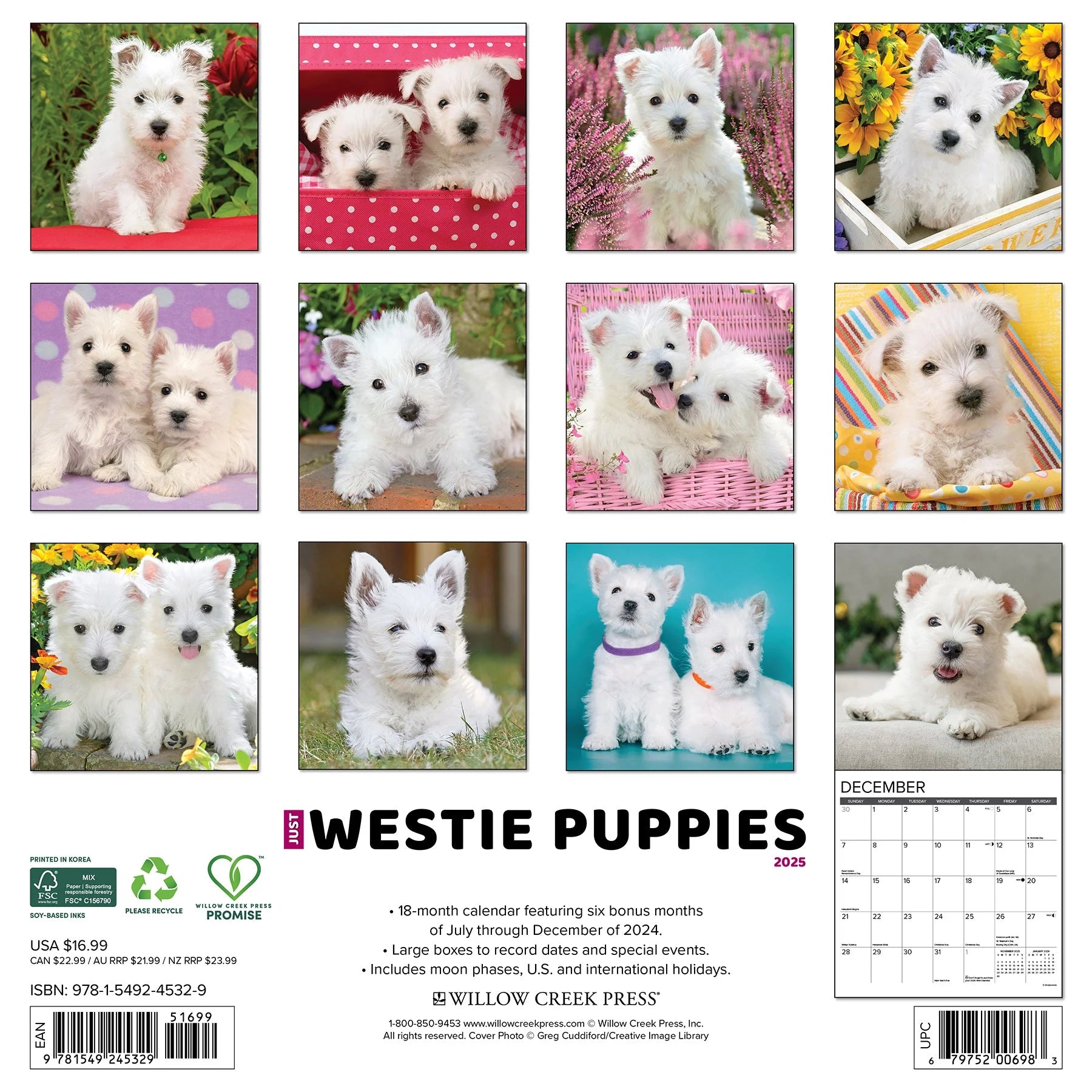 2025 Westie Puppies Calendar