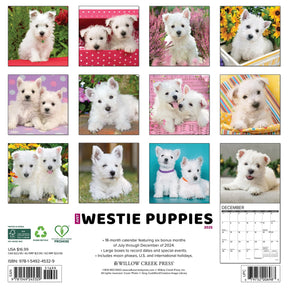 2025 Westie Puppies Calendar