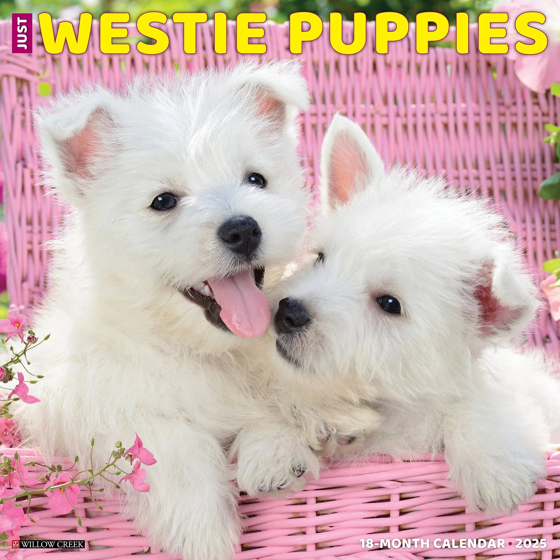 2025 Westie Puppies Calendar