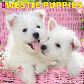 2025 Westie Puppies Calendar