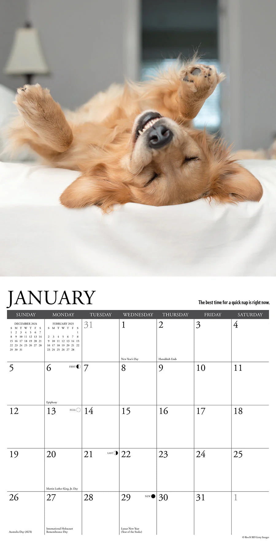 2025 What Goldens Teach Us Calendar