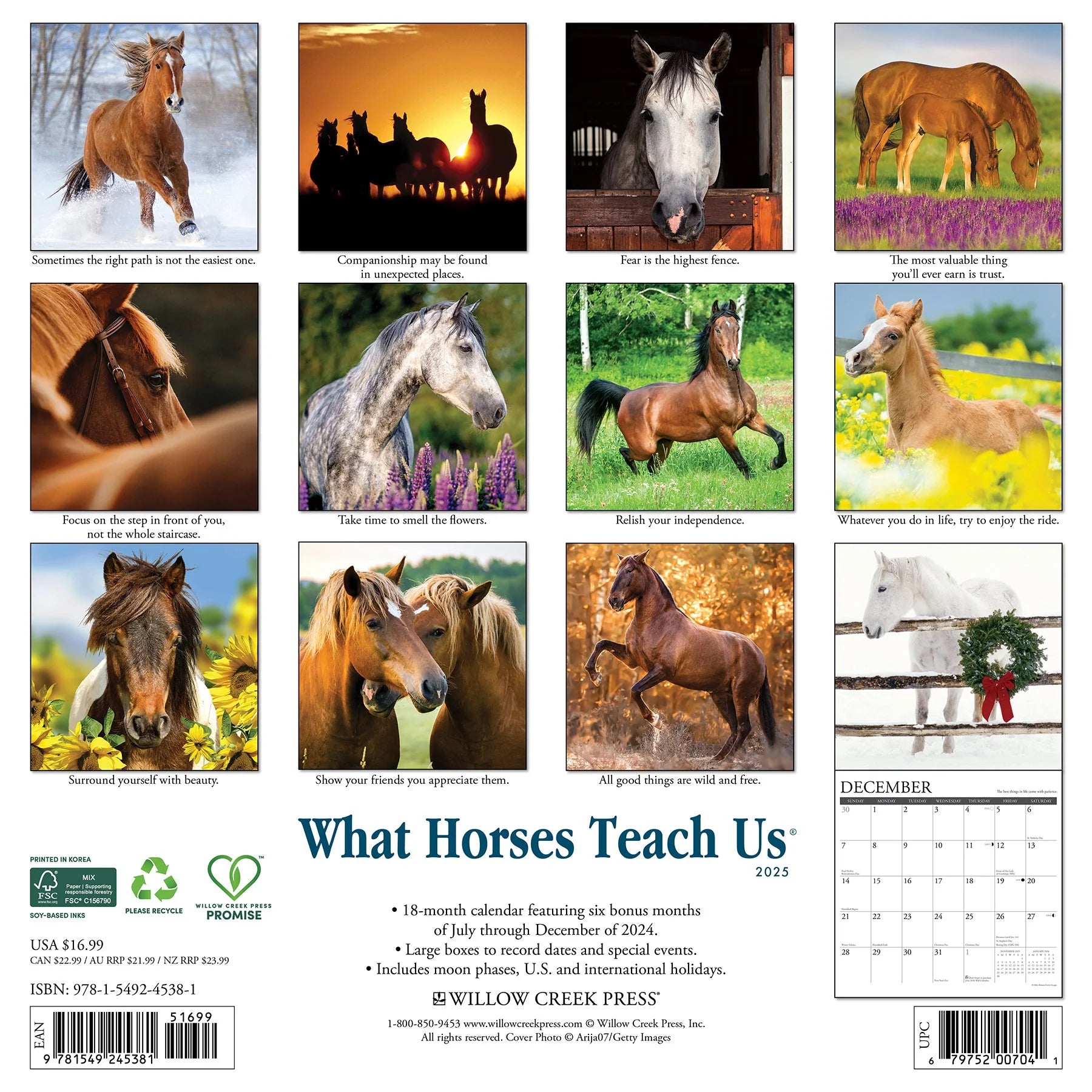 2025 What Horses Teach Us Calendar