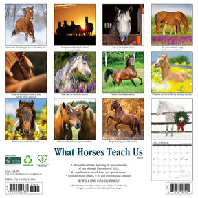 2025 What Horses Teach Us Calendar