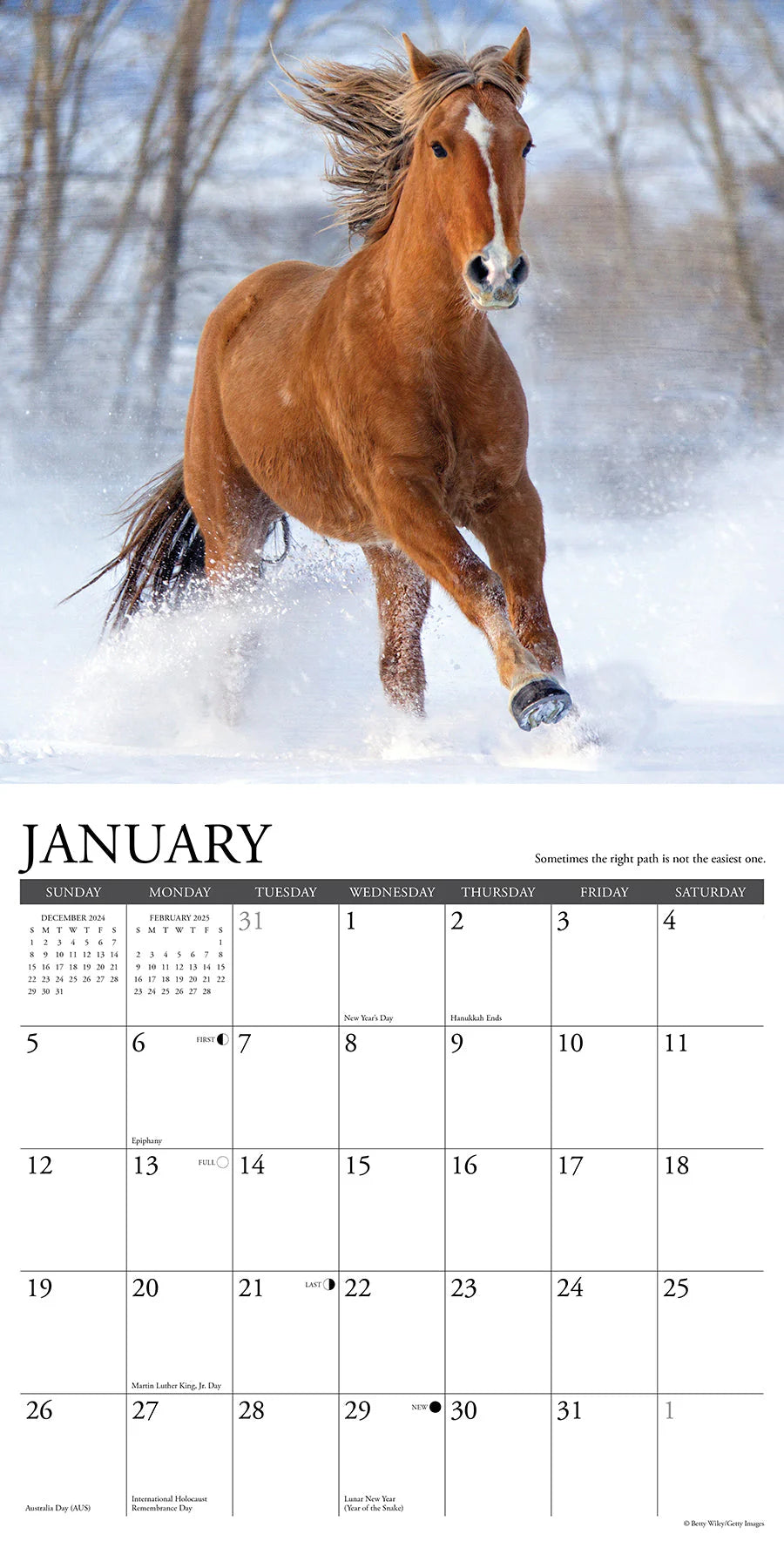 2025 What Horses Teach Us Calendar