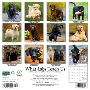 2025 What Labs Teach Us Calendar