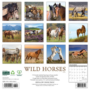 2025 Wild Horses Calendar