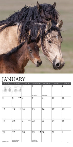 2025 Wild Horses Calendar