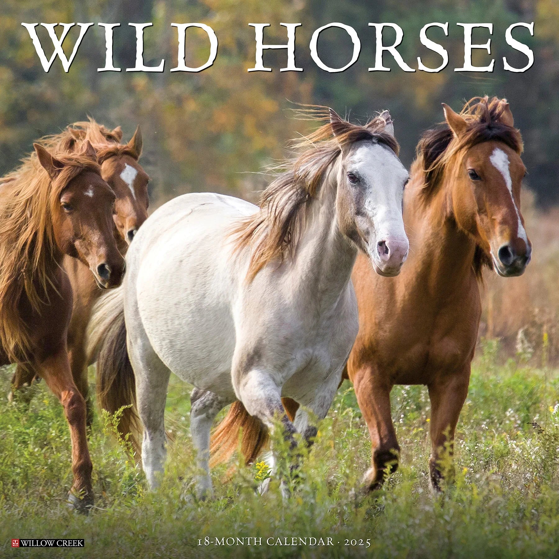 2025 Wild Horses Calendar