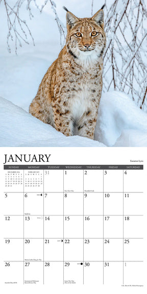 2025 Wildlife Calendar