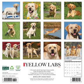 2025 Yellow Labs Calendar