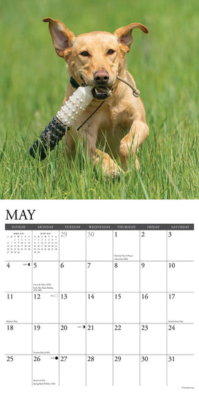 2025 Yellow Labs Calendar