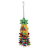 Caitec - Bird Toy Pineapple