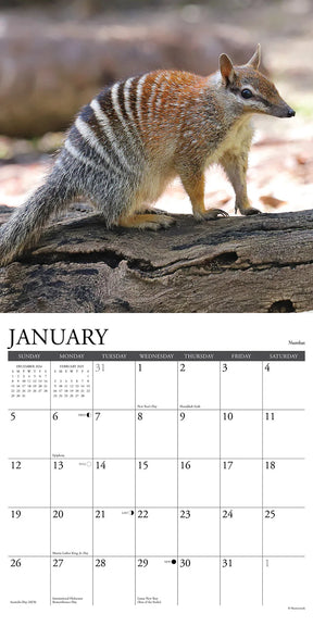 2025 Wildlife Down Under Calendar