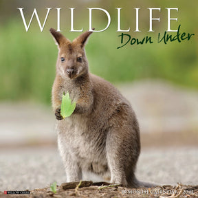 2025 Wildlife Down Under Calendar