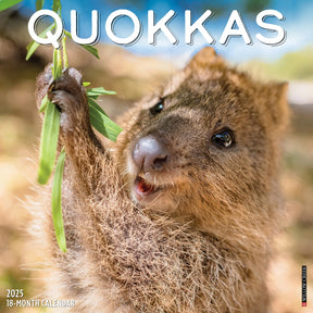 2025 Quokkas Calendar