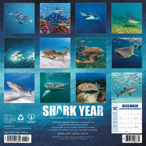 2025 Shark Year Calendar