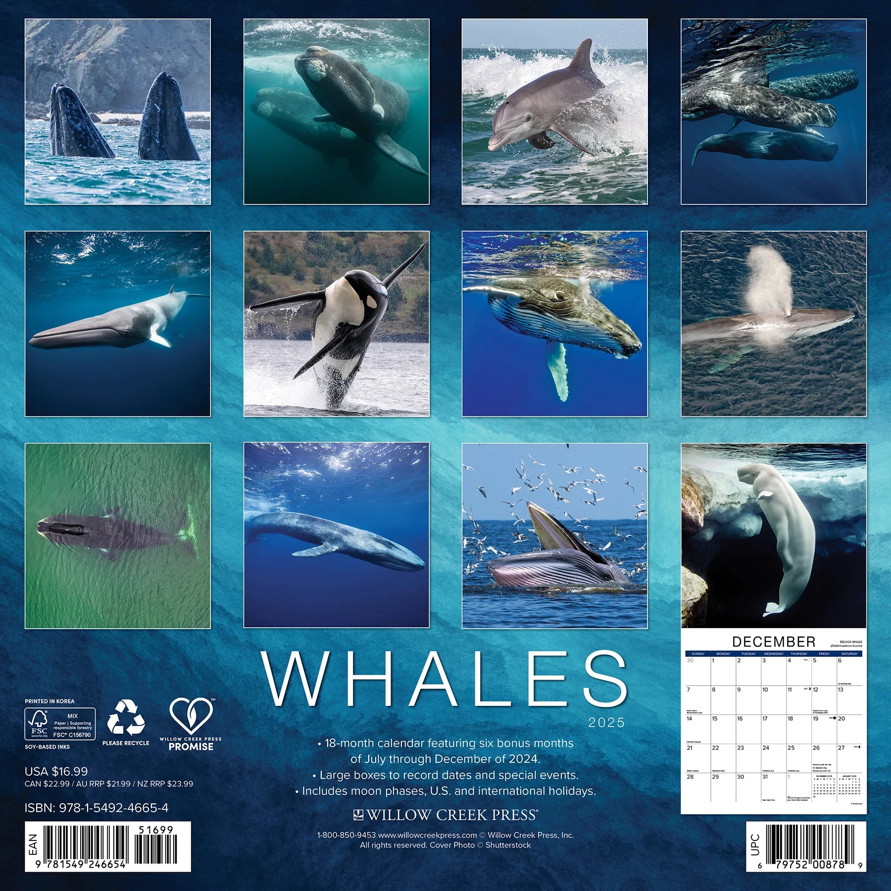 2025 Whales Calendar