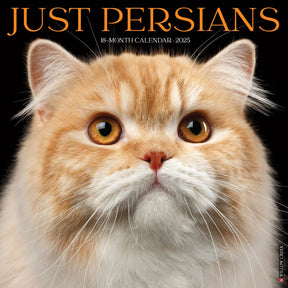 2025 Persians Calendar