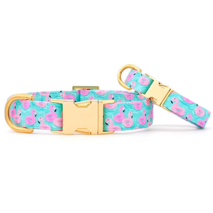 Foggy Dog - Dog Collar Float Mingo