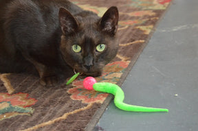 Dezi & Roo - Cat Toy Wiggly Ball