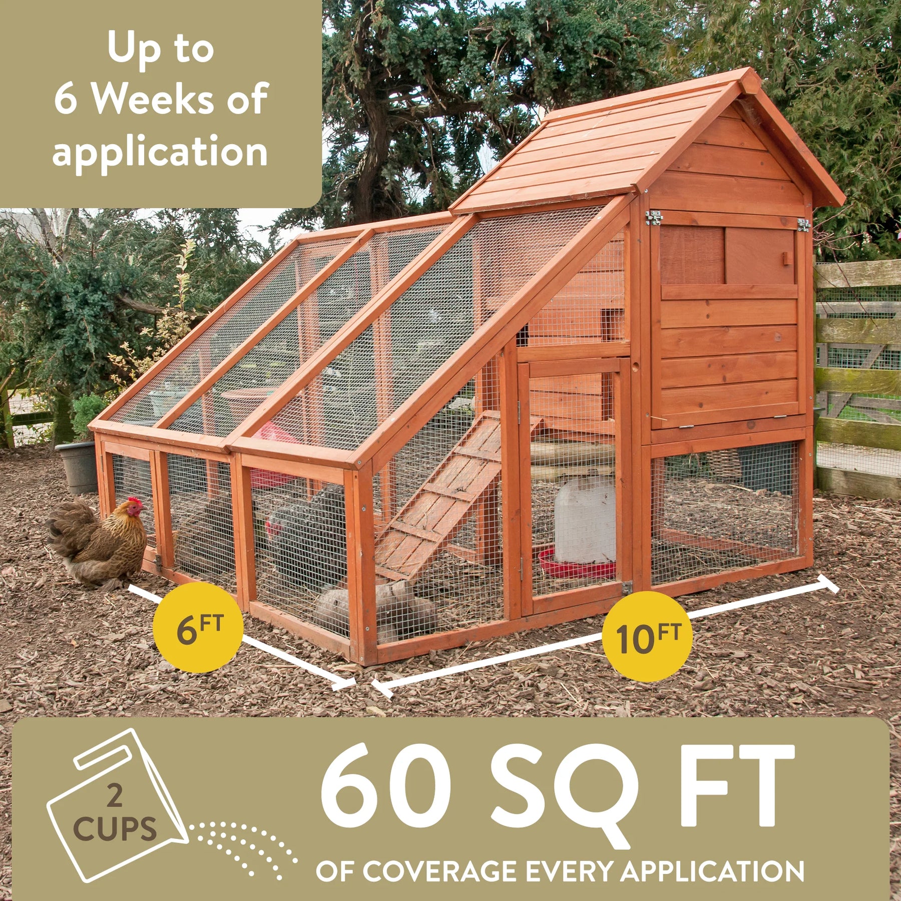 FlockLeader Healthy Coop for Chickens