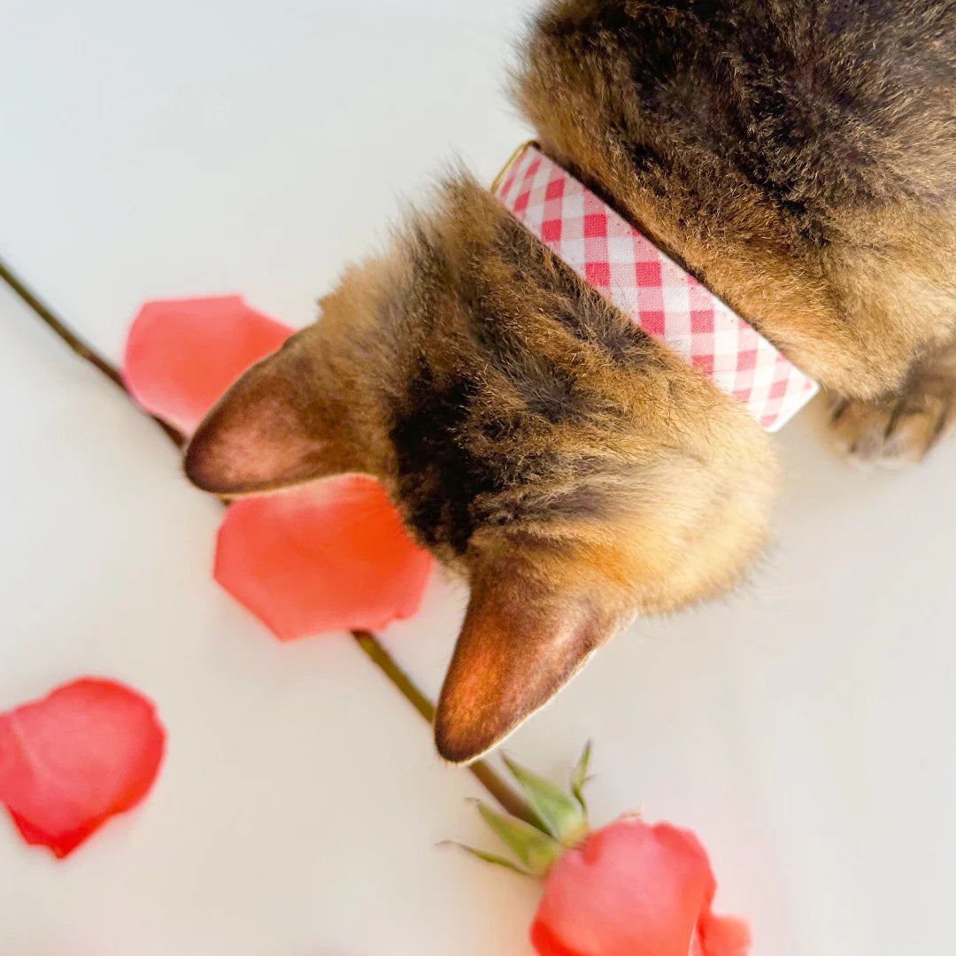 Cat Collar "Coquette" Pink Gingham Plaid with Gold Breakaway