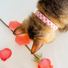 Cat Collar "Coquette" Pink Gingham Plaid with Silver Breakaway