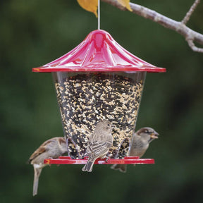 More Birds - Round Hopper Bird Feeder