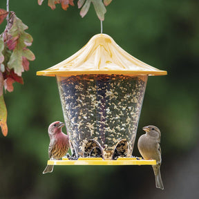 More Birds - Round Hopper Bird Feeder